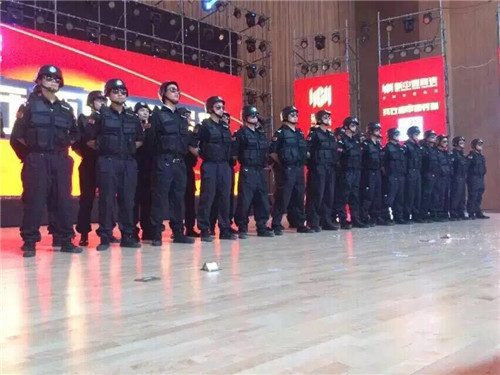 成功案例