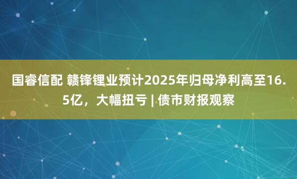 国睿信配 赣锋锂业预计2025年归母净利高至16.5亿，大幅扭亏 | 债市财报观察
